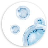 Komplex Bifida Ferment Filtrate